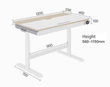 Load image into Gallery viewer, Height Adjustable Electric Sit Stand Desk Dual Motor Tiltable
